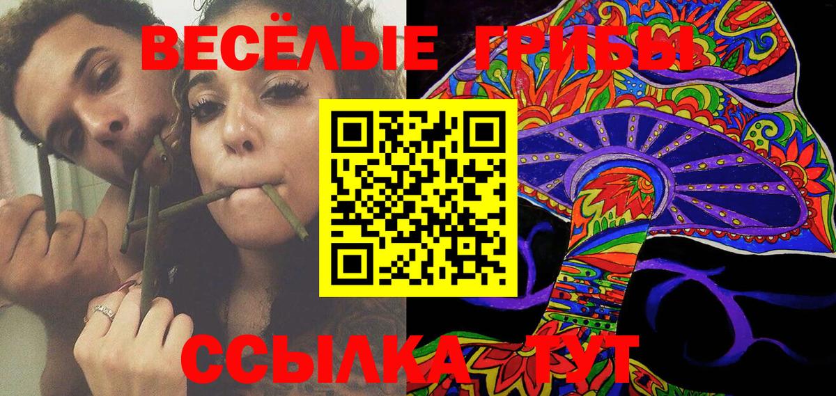 Псилоцибиновые грибы Magic Shrooms  Вход с VPN  Саянск  Галлюциногенные грибы Magic Shrooms 